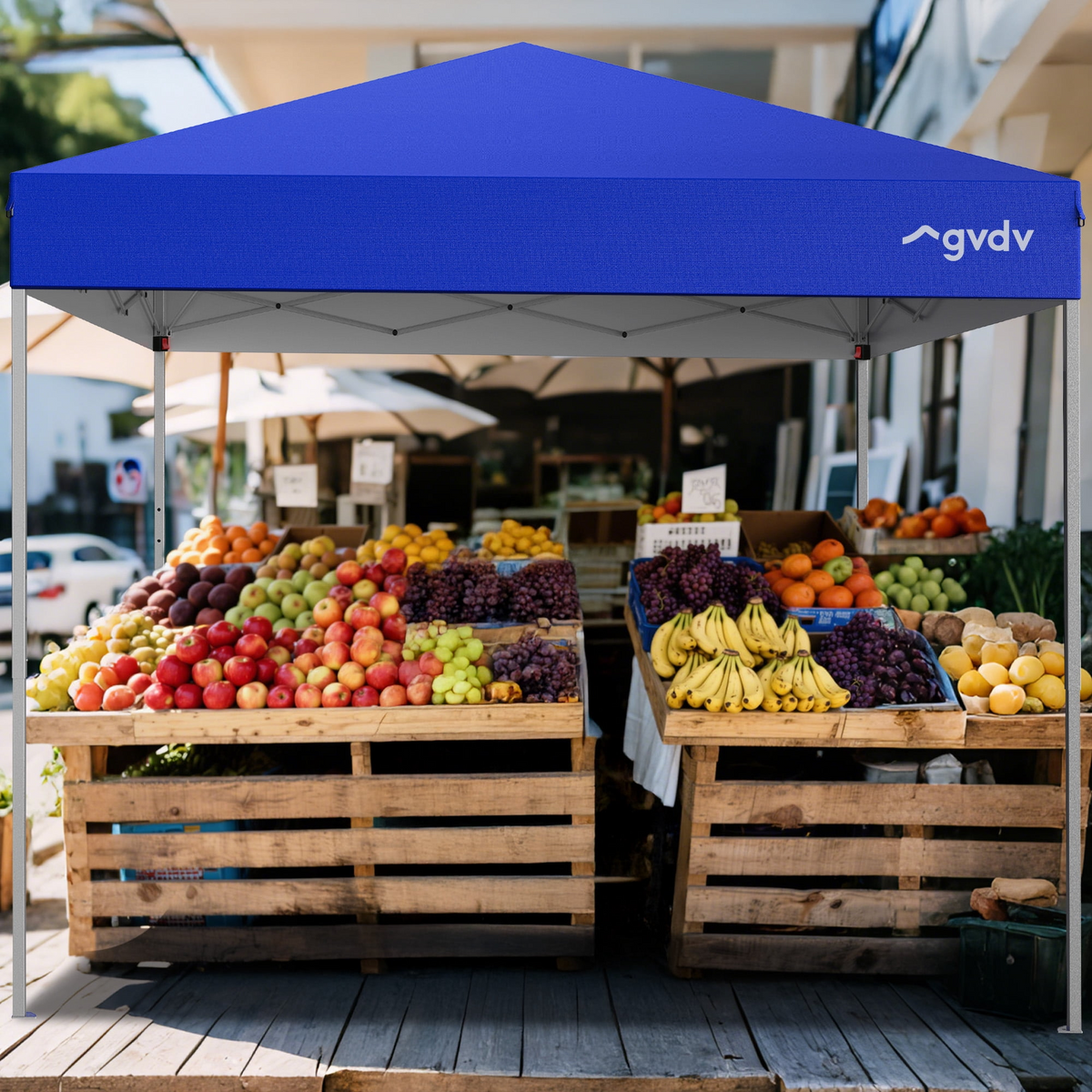 GVDV Canopy Tent, 10x10 ft Easy Pop up Outdoor Canopy Tent